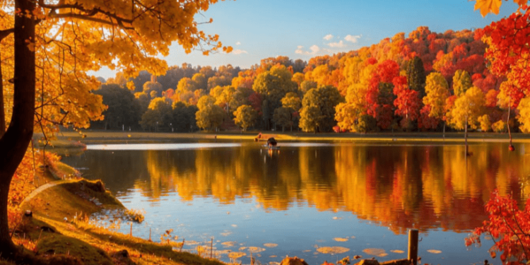 Вильфанд пообещал россиянам теплую погоду до 29 сентября