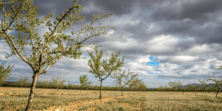 Гидрометцентр: в Рязанской области объявлен оранжевый уровень опасности из-за сухой погоды