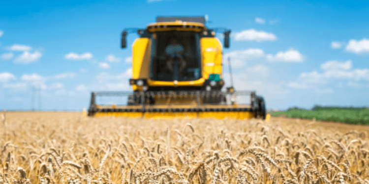 Губернатор Малков: в 2024 году рязанские аграрии соберут 2,7 миллиона тонн зерна