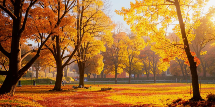 В субботу ожидается небольшой дождь и до +25 градусов