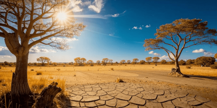 МЧС: 29 сентября в Рязанской области сохранится высокая пожарная опасность МЧС: 29 сентября в Рязанской области сохранится высокая пожарная опасность