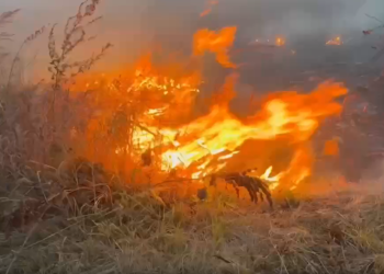 К нескольким селам в Рязанской области подбирается лесной пожар К нескольким селам в Рязанской области подбирается лесной пожар