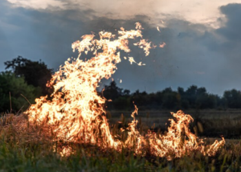 Крупный пожар может добраться до рязанского аэропорта Дубровичи