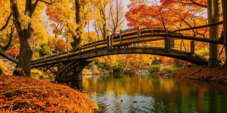 Синоптик Леус: в начале октября в Центральную Россию вернется летняя погода