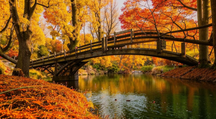 Синоптик Леус: в начале октября в Центральную Россию вернется летняя погода