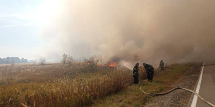 МЧС: возгорание не угрожает рязанским селам Воскресеновка и Ижевское МЧС: возгорание не угрожает рязанским селам Воскресеновка и Ижевское