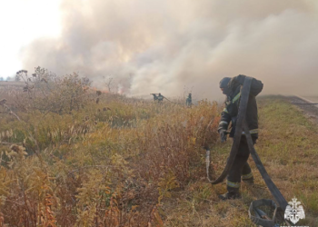 За минувшие сутки площадь природных пожаров в Рязанской области возросла до 105 гектаров