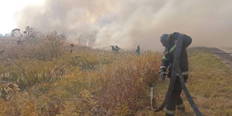 За минувшие сутки площадь природных пожаров в Рязанской области возросла до 105 гектаров