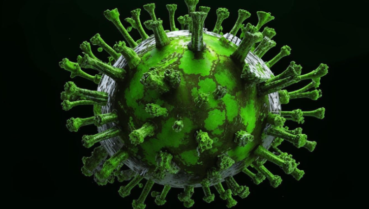 За неделю в Рязанском регионе коронавирусом заразились 246 человек