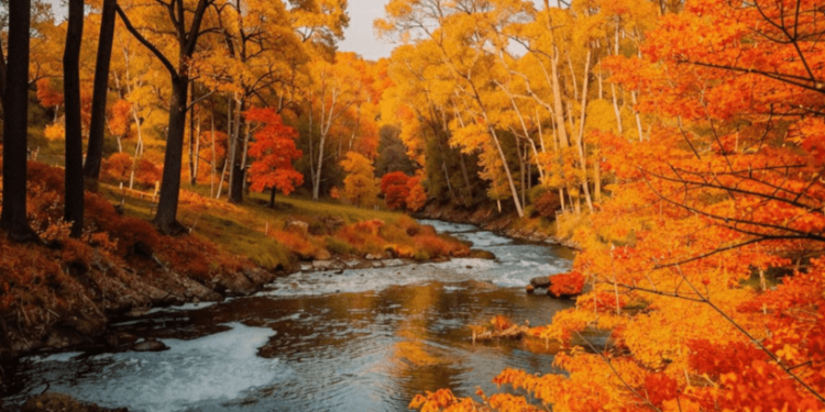 Во вторник в Рязанской области ожидается до +24 градусов Во вторник в Рязанской области ожидается до +24 градусов