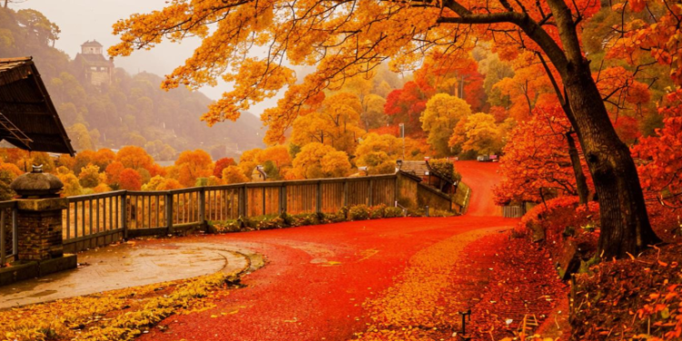 Синоптик Шувалов: 4 и 5 октября Центральную Россию ожидают дожди