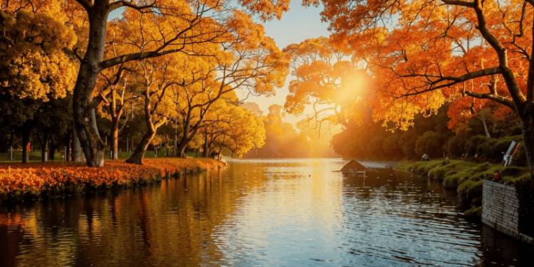 В четверг в Рязанской области сохранится теплая погода