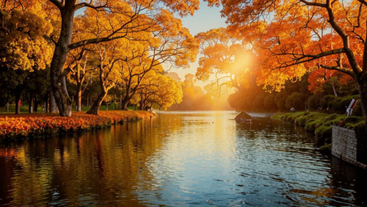 В четверг в Рязанской области сохранится теплая погода