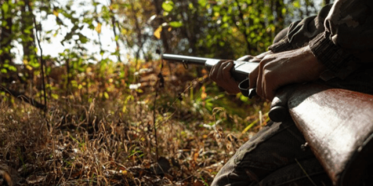 До 31 октября в Спасском районе запретят любительскую и спортивную охоту До 31 октября в Спасском районе запретят любительскую и спортивную охоту