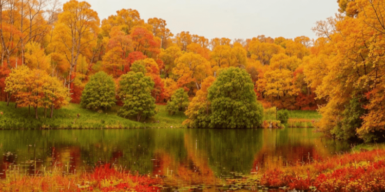 Шувалов: пик потепления в Центральной России ожидается в четверг