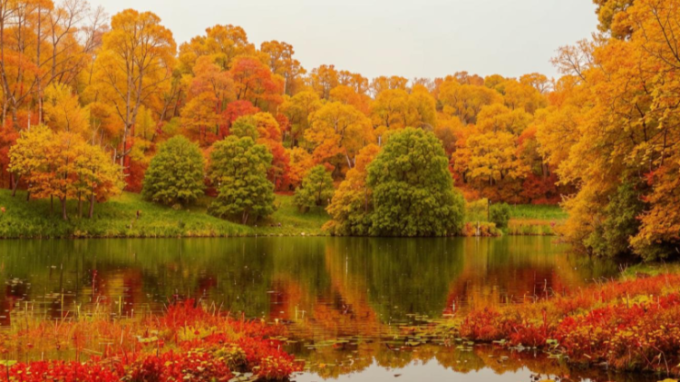 Шувалов: пик потепления в Центральной России ожидается в четверг