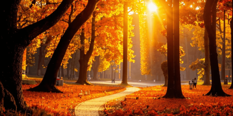 Синоптик Позднякова: теплая погода в Центральной России сохранится до середины октября