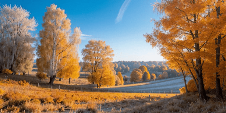 Леус: на текущей наделе россиян ожидают первые заморозки