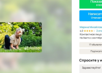 На Avito за услуги выгула квадробера в Рязани просят 700 рублей