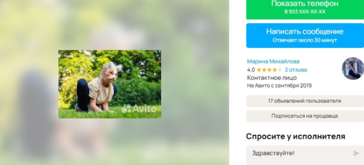 На Avito за услуги выгула квадробера в Рязани просят 700 рублей