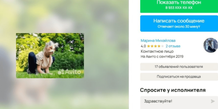 На Avito за услуги выгула квадробера в Рязани просят 700 рублей