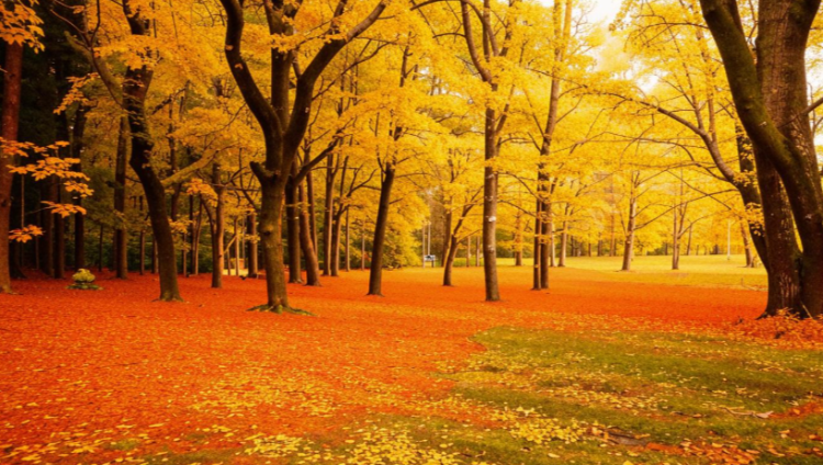 Тишковец: интенсивный листопад в Центральной России начнется в последней декаде октября