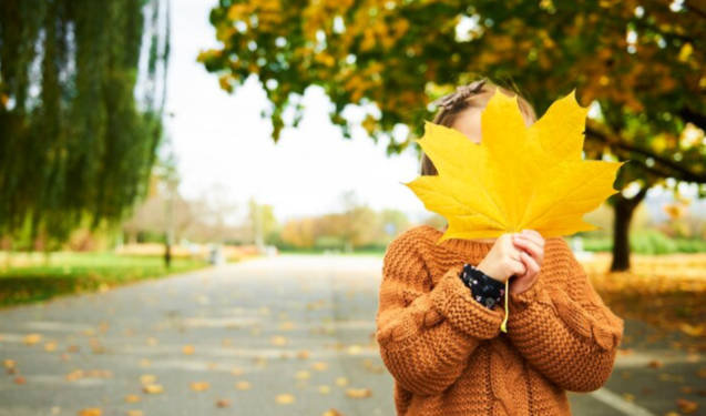Тишковец: в ночь на среду в Центральную Россию придет резкое похолодание