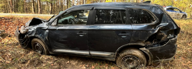 В ДТП в Клепиковском районе пострадали два человека, в том числе 10-летний ребенок