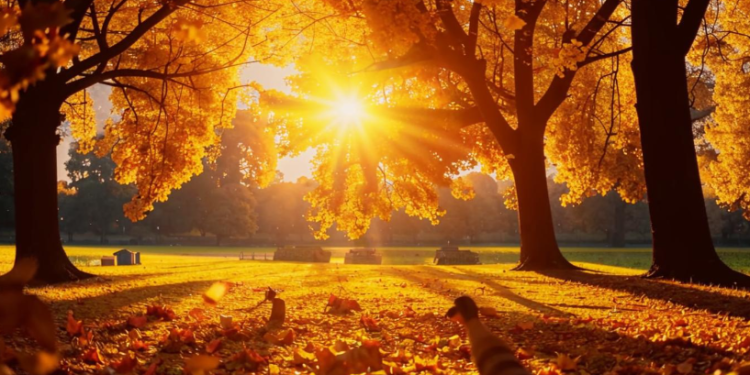 Вильфанд: в Центральную Россию вернется солнечная погода