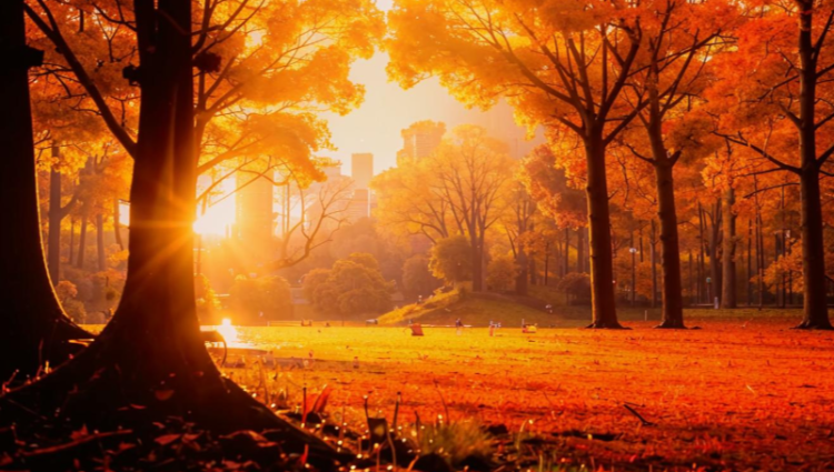 В пятницу в Рязанской области ожидается до +14 градусов