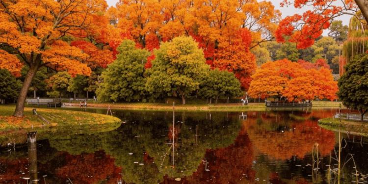 Метеоролог Позднякова: в выходные в Центральной России потеплеет до +15 градусов