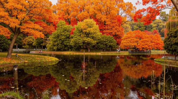 Метеоролог Позднякова: в выходные в Центральной России потеплеет до +15 градусов