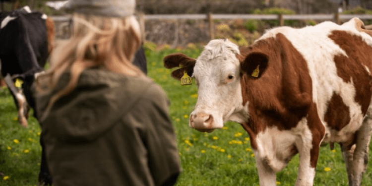 В Спасском районе приостановили работу местной фермы из-за грубых нарушений