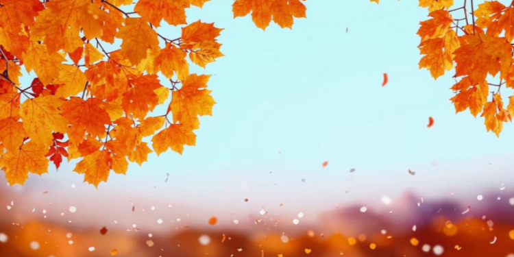 Метеоролог Шувалов: в ночь на 14 октября в Центральной России ожидается снег