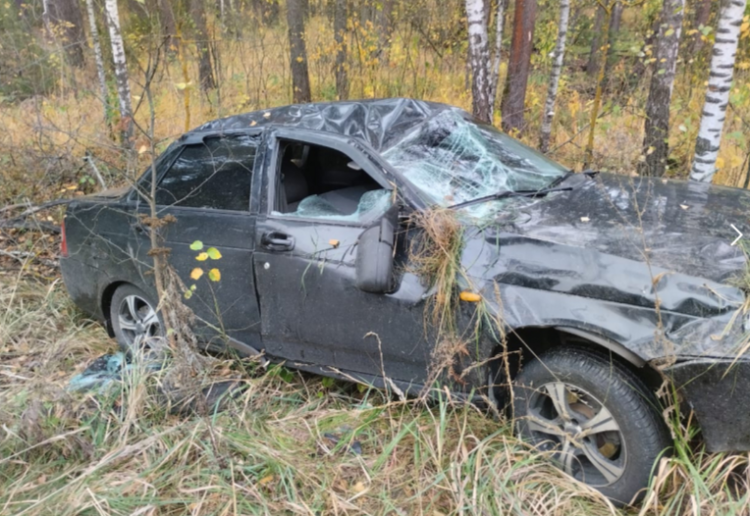 В ДТП в Клепиковском районе пострадали два человека