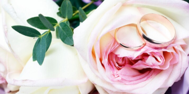 Сорокина: самому пожилому рязанскому жениху в 2024 году было 85 лет Сорокина: самому пожилому рязанскому жениху в 2024 году было 85 лет