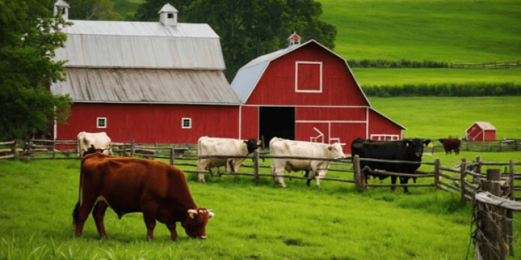 РБК: выпускников аграрных вузов планируют отправлять после учебы на несколько лет в села