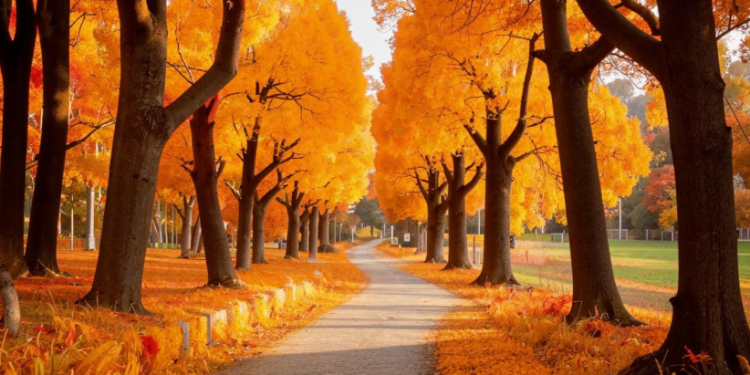 В субботу в Рязанской области потеплеет до +15 градусов В субботу в Рязанской области потеплеет до +15 градусов