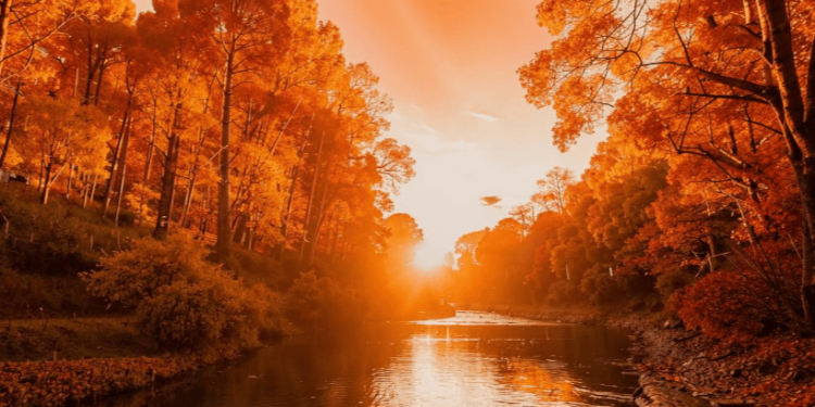 Метеоролог Шувалов: потепление в Центральной России начнется с 16 октября