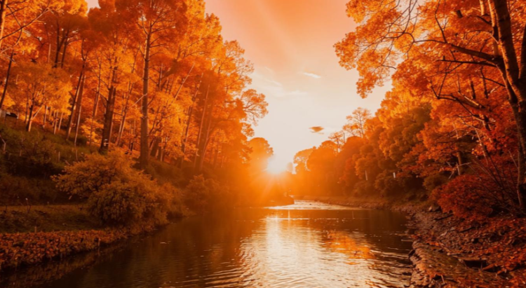 Метеоролог Шувалов: потепление в Центральной России начнется с 16 октября