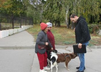В рязанском ЦПКиО прошел рейд по выгулу собак В рязанском ЦПКиО прошел рейд по выгулу собак