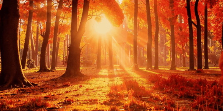 Синоптик Вильфанд: в выходные дни в Центральной России потеплеет Синоптик Вильфанд: в выходные дни в Центральной России потеплеет