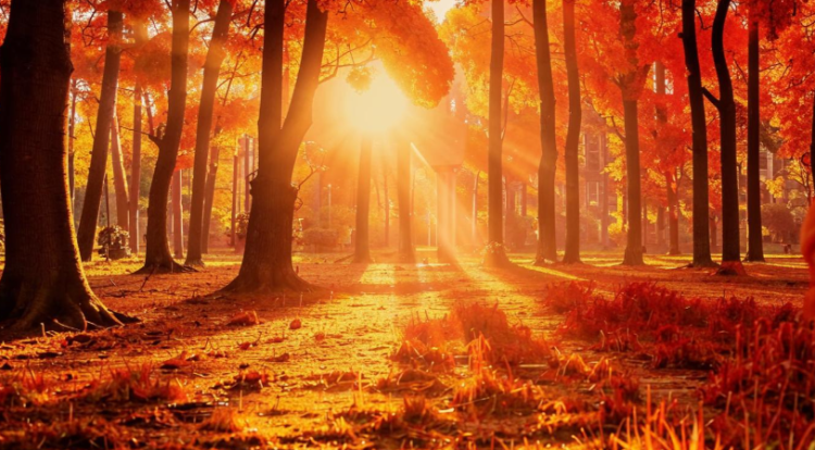 Синоптик Вильфанд: в выходные дни в Центральной России потеплеет