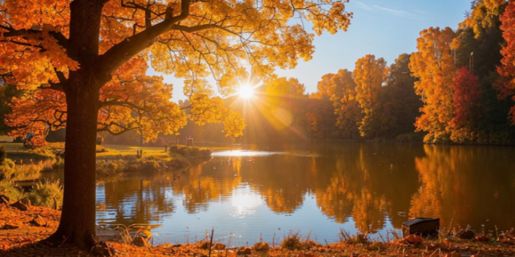 В пятницу в Рязанской области ожидается до +9 градусов В пятницу в Рязанской области ожидается до +9 градусов