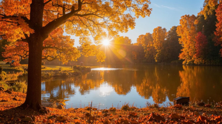В пятницу в Рязанской области ожидается до +9 градусов