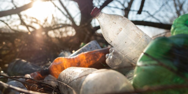 Рязанская область заняла 7 строчку в рейтинге регионов по объему мусора