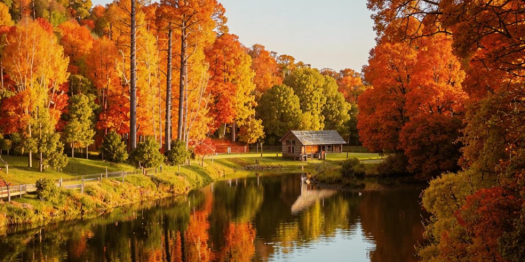 Синоптик Ильин: грядущее потепление в Центральной России останется на целую неделю Синоптик Ильин: грядущее потепление в Центральной России останется на целую неделю
