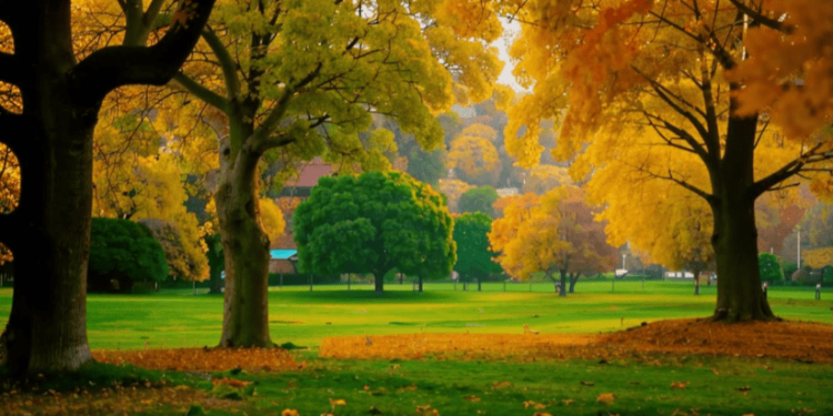 Во вторник в Рязанской области потеплеет до +15 градусов