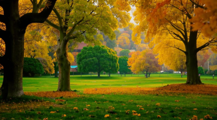 Во вторник в Рязанской области потеплеет до +15 градусов