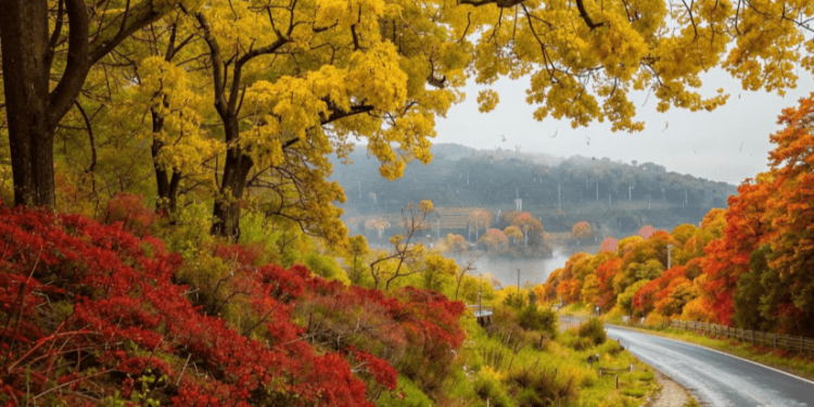 Синоптики Шувалов и Тишковец предупредили россиян о резком похолодании с 23 октября